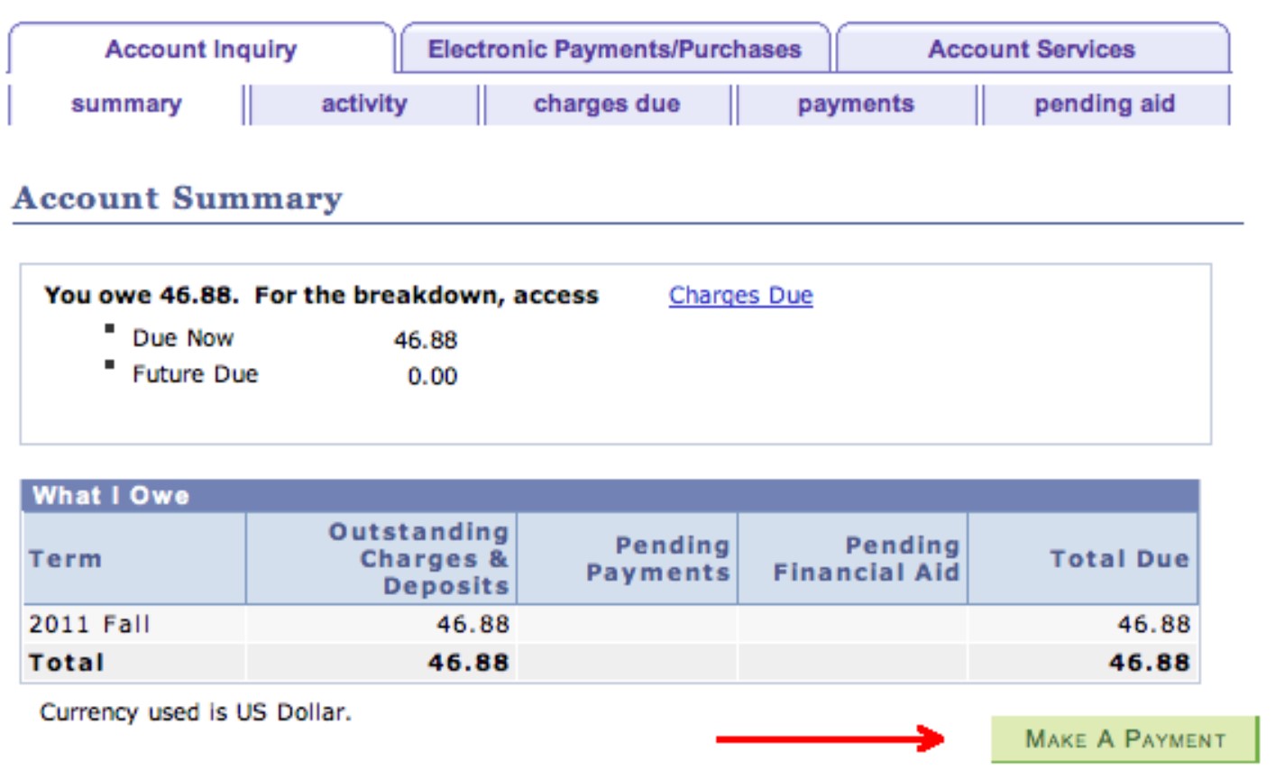 How Do I View and Pay My Bill step 3.