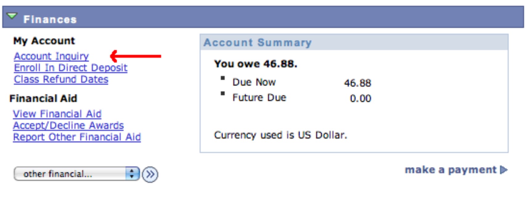 How Do I View and Pay My Bill step 3.