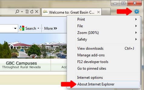 Internet Explorer Picture