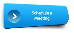 Blue button with text, "Schedule a Meeting".